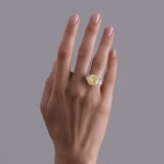 Ring, 18-carat white gold with diamonds and yellow diamonds
