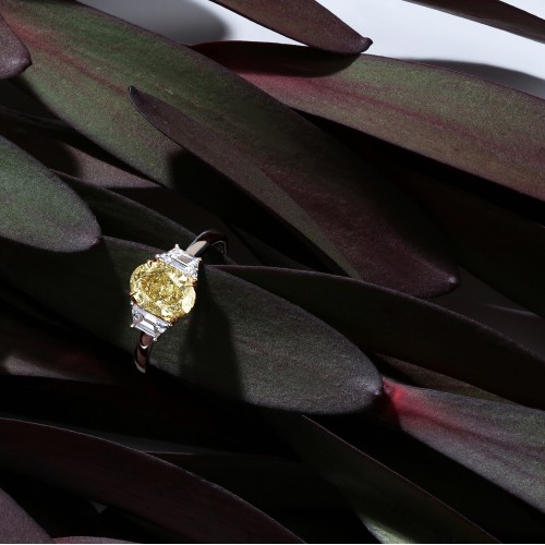 Ring, 18-carat white gold with diamonds and yellow diamonds Ring, 18-carat white gold with diamonds and yellow diamonds