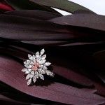 Ring, 18-carat white gold with pink diamonds